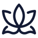 Yoga Studios 